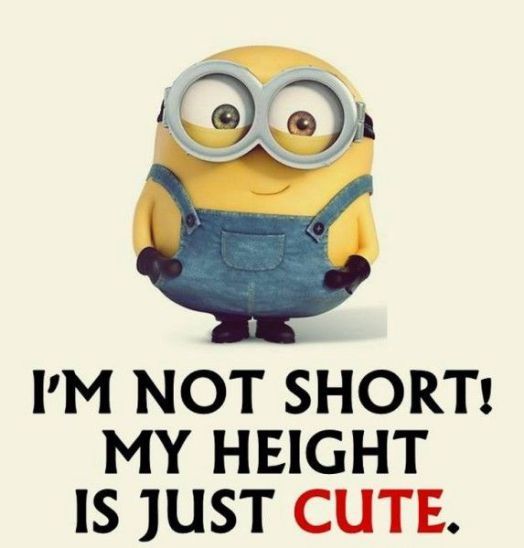 best short girl quotes ideas on pinterest short girl