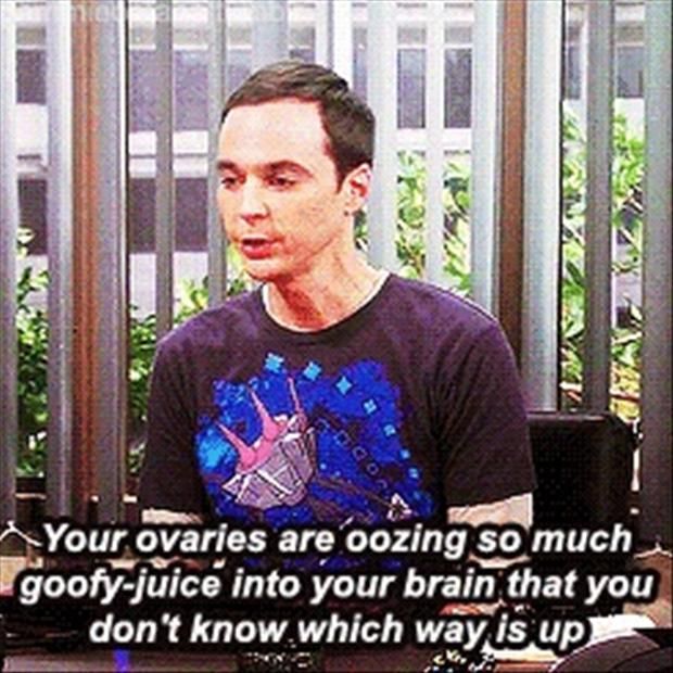 big bang theory funny big bang theory funny quotes from sheldon cooper