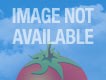 sisters rotten tomatoes 2